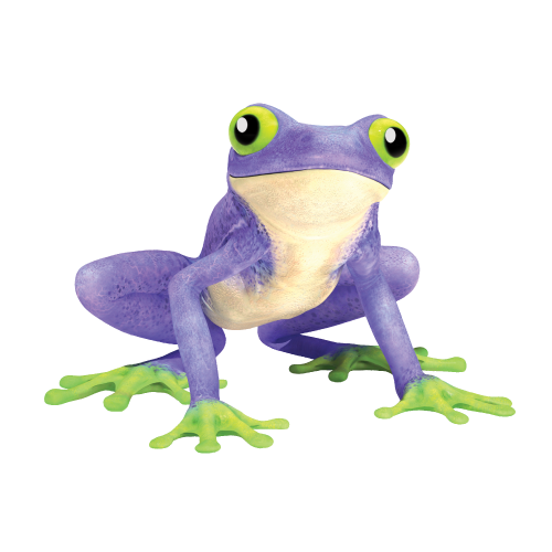 WALLTITE FROG