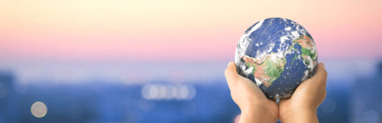 Sustainability and LEED tile